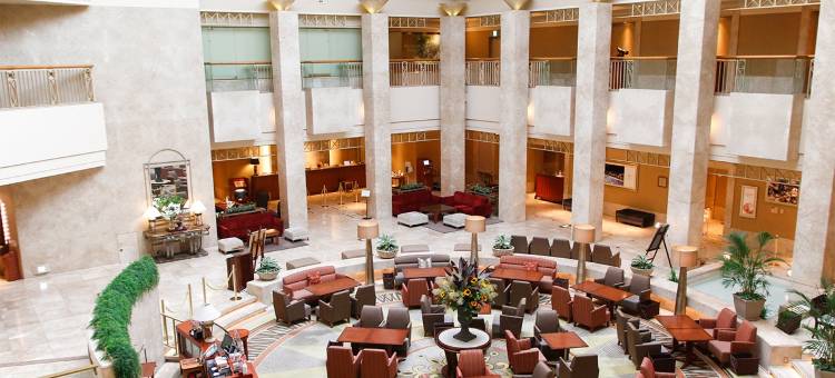 浦安布莱顿酒店东京湾(Urayasu Brighton Hotel Tokyo Bay)图片