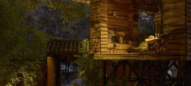 青丘· Tree House 森林氧吧度假民宿图片