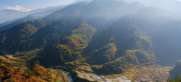 萨加达扬纳特小屋酒店(Sagada Younganaut Lodge)图片