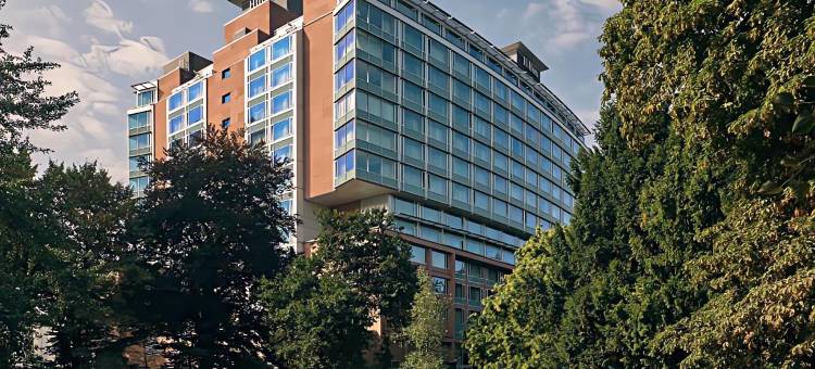 法兰克福市中心希尔顿酒店(Hilton Frankfurt City Centre)图片