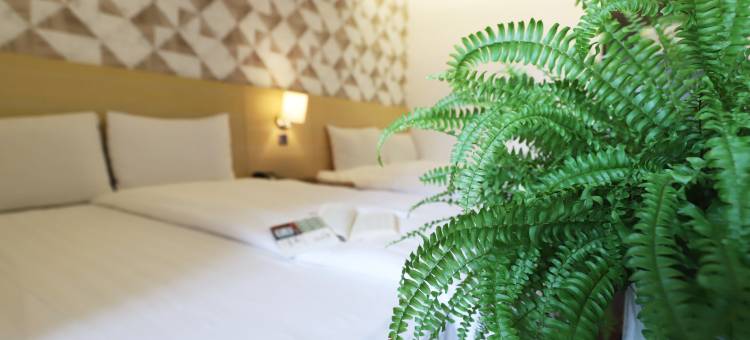 夢想12旅店图片