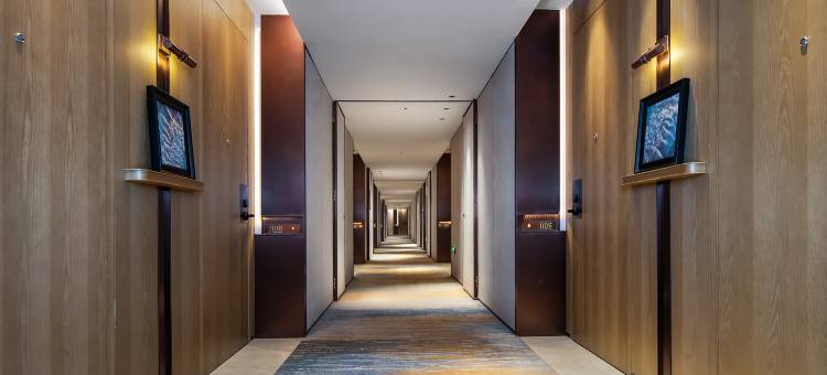 Amigo米阁睡眠酒店(深圳北站店)图片