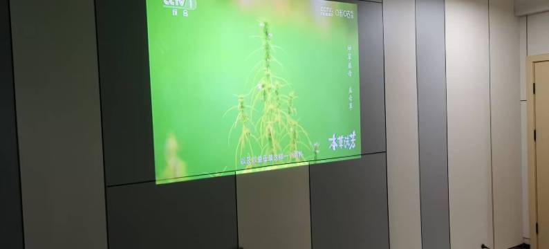 晋江青阳鸿洋宾馆图片