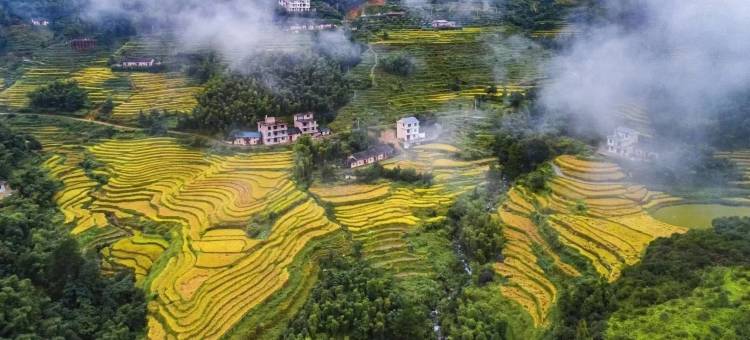 遂川桃源梯田洞穴酒店图片