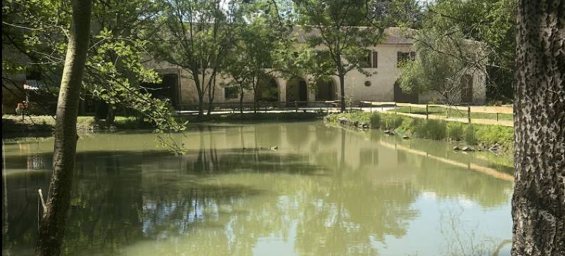 塞利纳图拉(Celinatura)图片