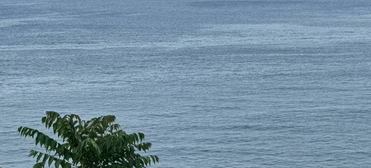 悠然墅花园民宿(金海滩海水浴场店)图片