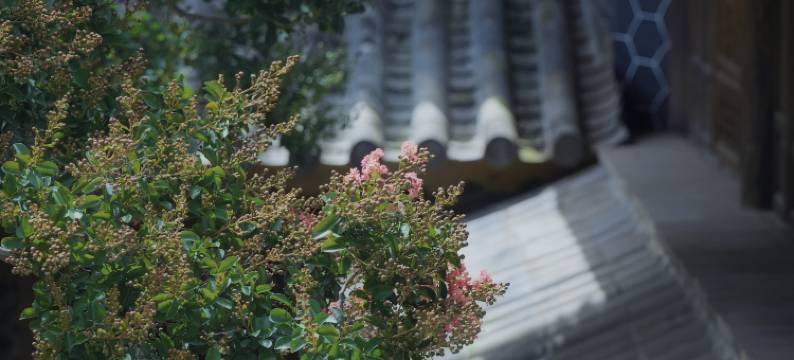 莫问炁舍民宿(黑井古镇店)图片