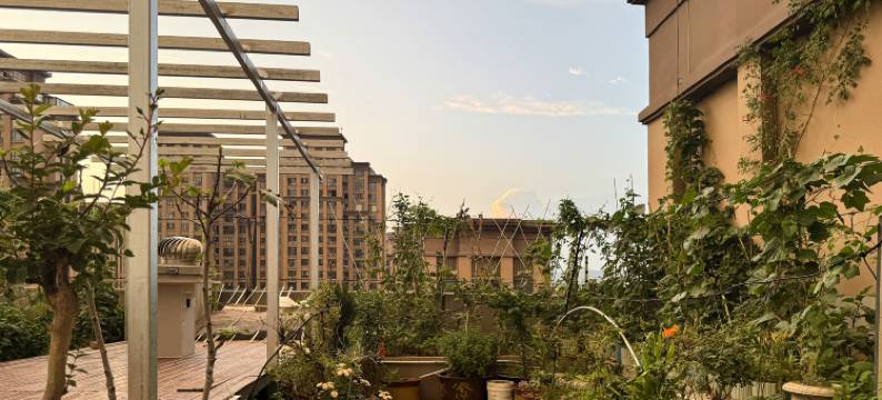 郧阳区江畔云顶民宿图片