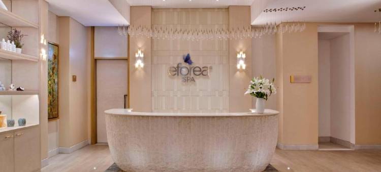 开罗尼罗河希尔顿酒店-马阿迪(Hilton Cairo Nile Maadi)图片