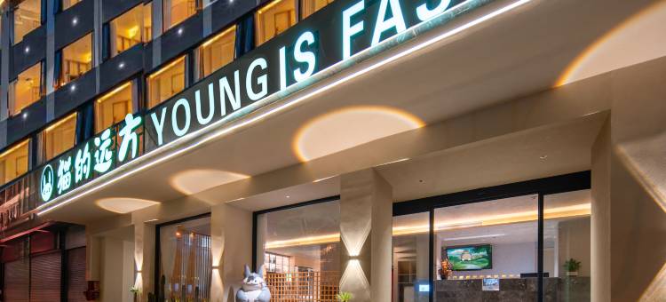 猫的远方酒店(大理洱海公园高铁站店)图片