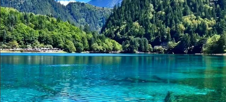 九寨沟悠游仙居MOUNTAIN•FOREST•VIEW•180°青山林海氧吧疗愈酒店图片