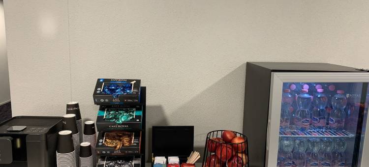 百夫长瑞士品质酒店(Centurion Swiss Quality Towerhotel Windisch)图片