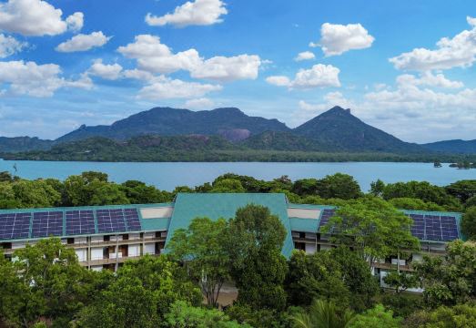 Amba Yaalu - Thema Collection 