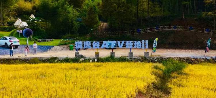 安吉林昕民宿图片