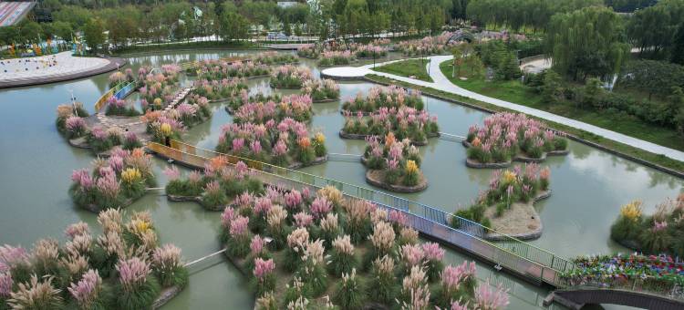 扬州珠湖小镇度假村图片