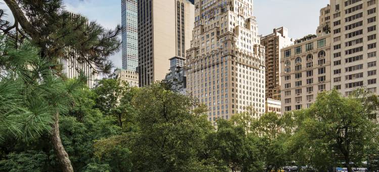 纽约中央公园丽思卡尔顿酒店(The Ritz-Carlton New York, Central Park)图片