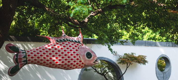 苏州金鸡湖托尼洛·兰博基尼书苑酒店图片