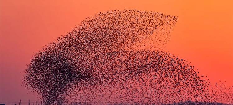 7天优品Premium(东营东城店)图片