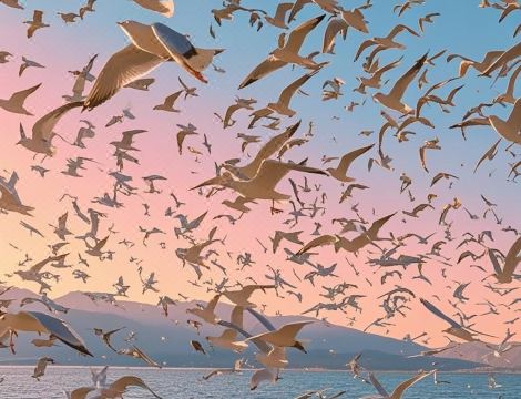 Spring River Flower Moon Hotel (Kunming Dianchi Haigeng Dam)Hotel Overview