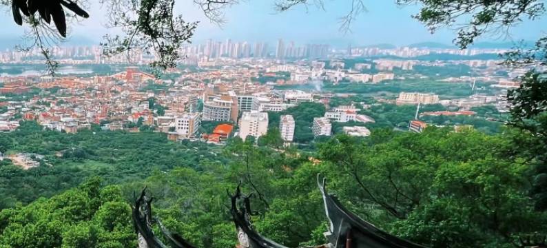 花筑·望山轩丨林间煮茶Private·山野静居(西湖公园清源山店)图片