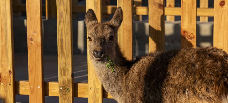 惠东金海湾嘉华度假酒店图片