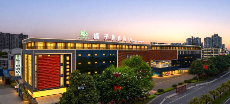 橘子树酒店(眉山音乐喷泉盖丽店)图片