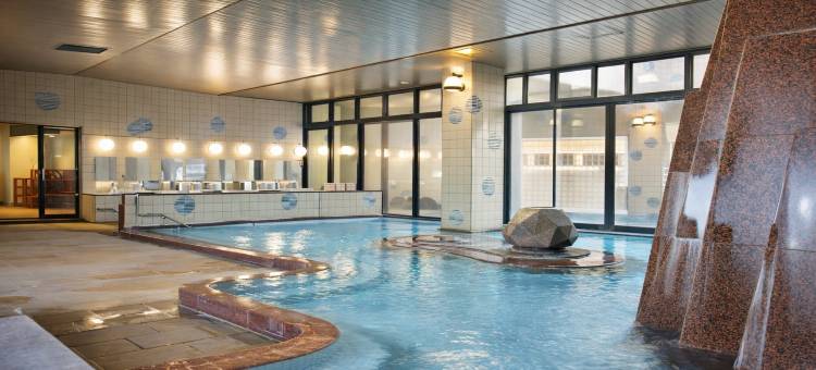 利夫马克斯度假酒店石和温泉(Livemax Resort Isawaonsen)图片