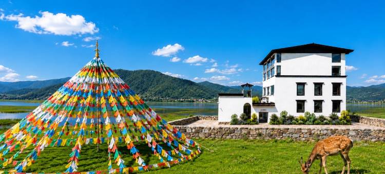 陌野·星语|360°草原极景亲子度假设计师供氧庄园(纳帕海景区店)图片