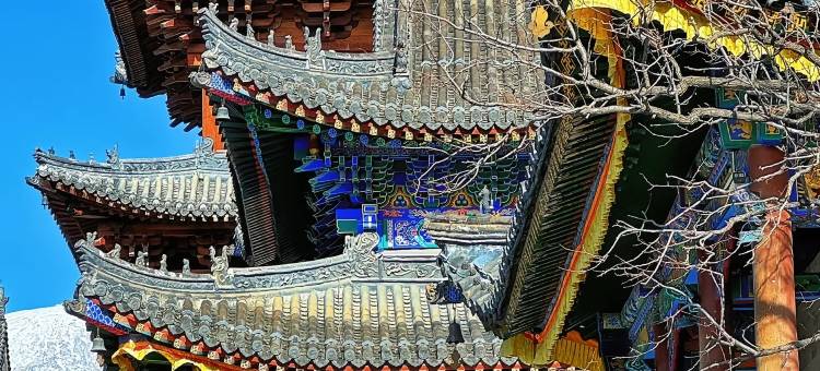 又见|SOMA吾乡·山野隐奢民宿(五台山景区店)图片
