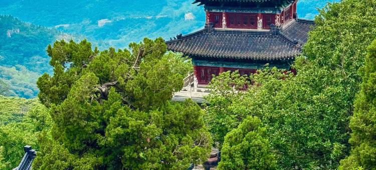 悦凯假日酒店(花果山店)图片