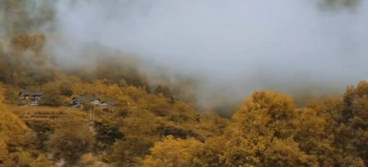 泸定归山牧云民宿图片
