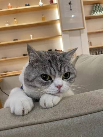 香格里拉甘露客栈(独克宗古城店)图片