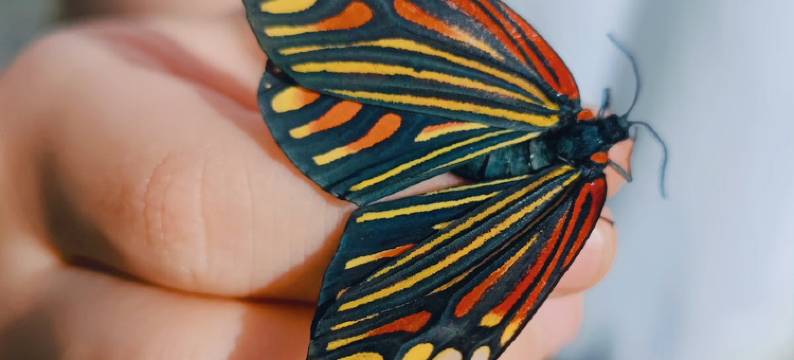 雷洞烟云.星空营地图片