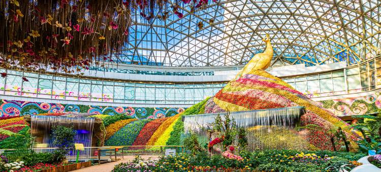 昆明花之城豪生国际大酒店图片