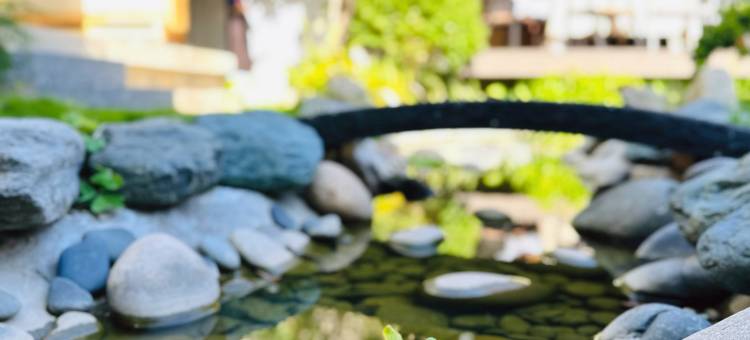 大理Bingo·海逸十号海景客栈(洱海才村码头店)图片