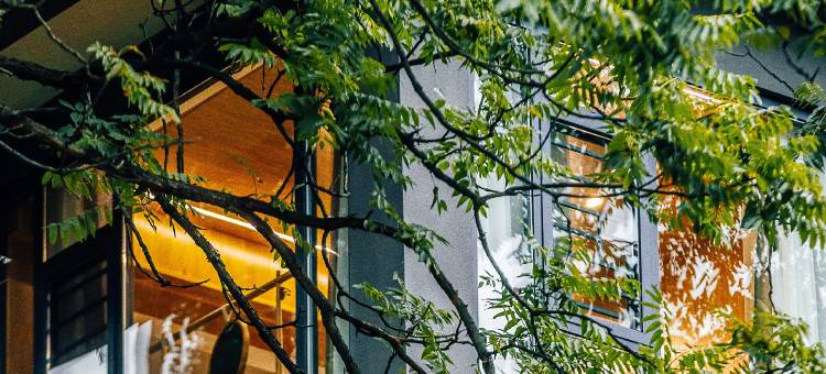 斯途·凤凰屿民宿图片