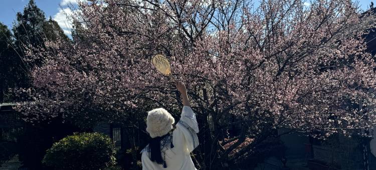 丽江中香界·问云山庄图片