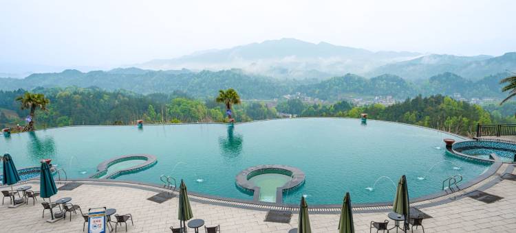 张家界大鲵温泉度假酒店图片