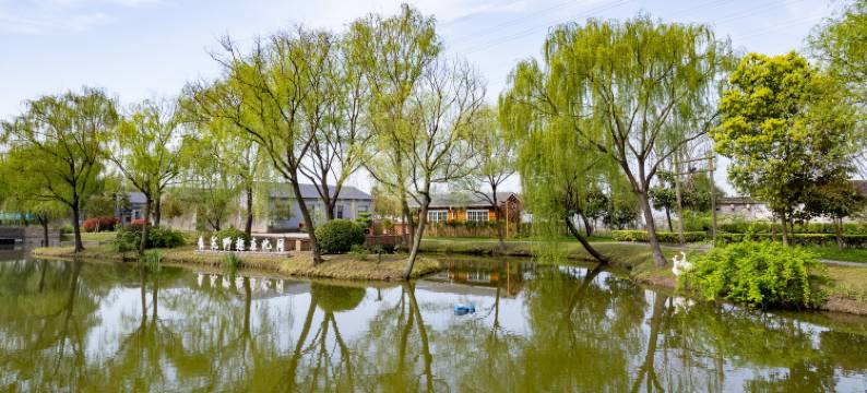 扬州白塔河生态度假庄园图片