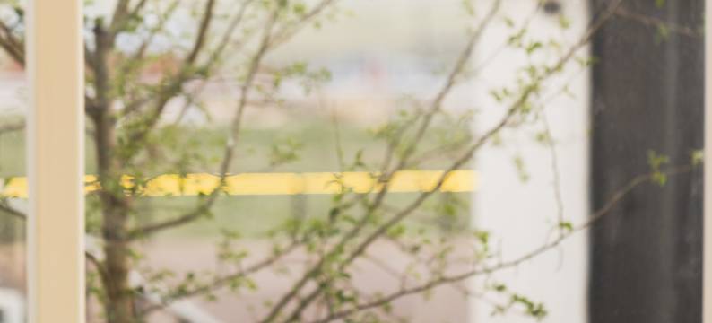 呼伦贝尔额尔古纳牛牛农场民宿(黑山头店)图片