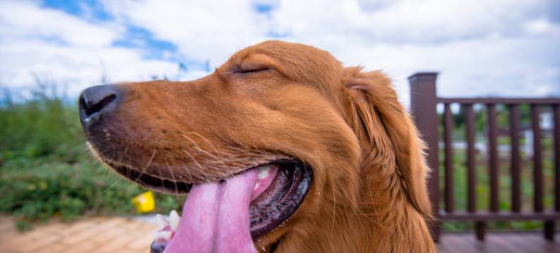 草海情民宿馆图片
