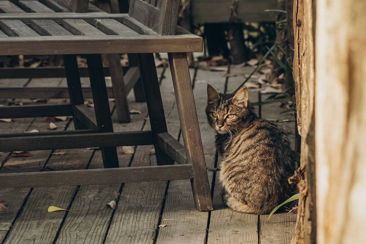 乌镇乌村酒店图片