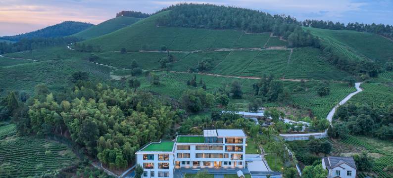 青禾Courtyard・无边泳池・星空竹海・茶园日落・亲子理想度假美宿图片