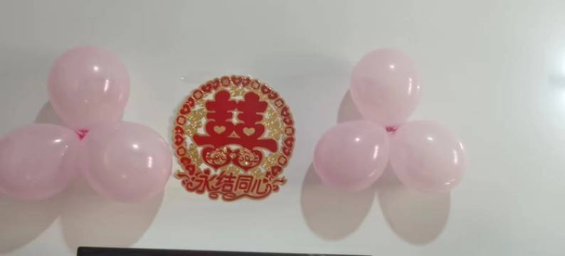 定安春阳假日酒店图片