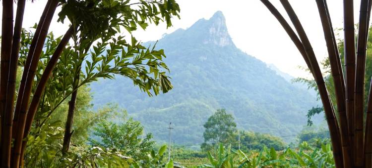 大新阿树院子酒店(德天瀑布店)图片