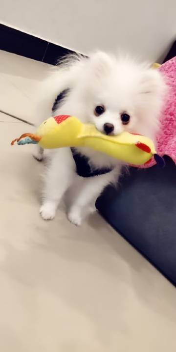 花筑·京山民宿(山海关古城店)图片