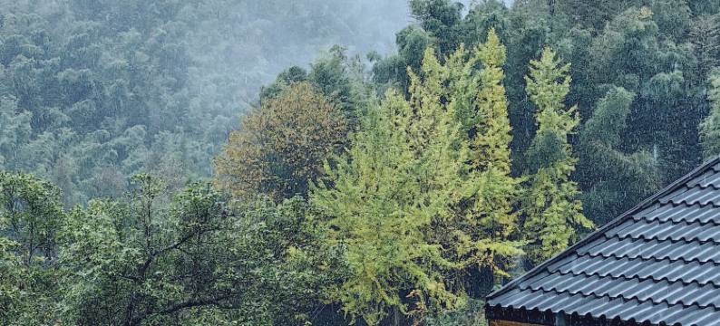 梅岭楠坪古村·青语民宿图片