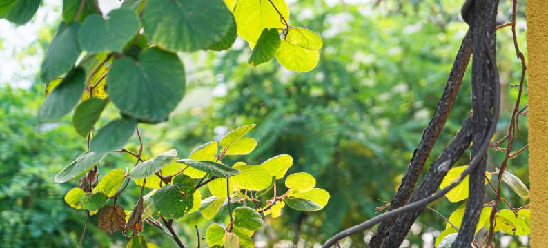 永定山水居·翠屏湖酒店图片