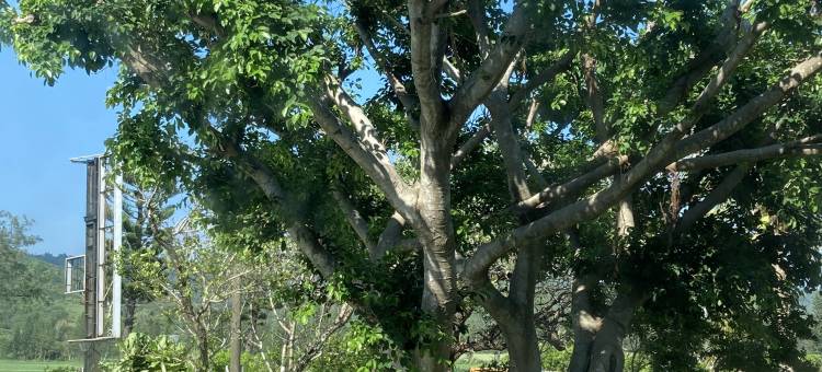 垦丁羊角村图片