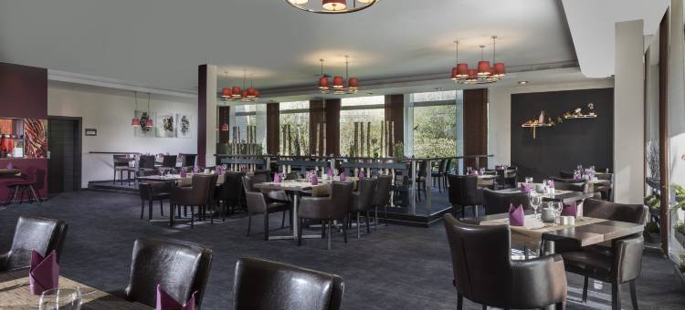 杜塞尔多夫诺伊斯美居酒店(Mercure Hotel Düsseldorf Neuss)图片